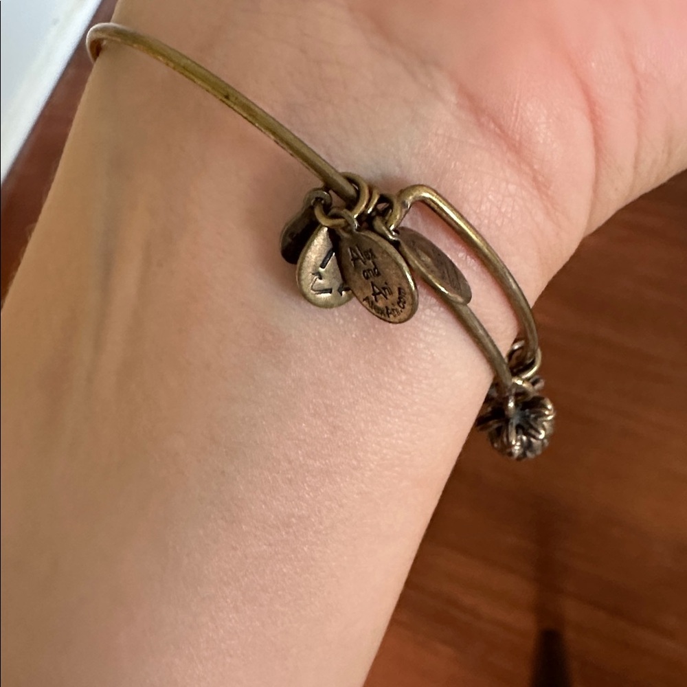 Alex and Ani Pineapple Bracelet - Picture 2 of 2